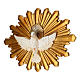 Colomba Spirito Santo 15x20 cm resina s2