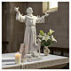 Statua San Francesco resina bianca 60 cm con animali s2