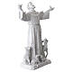 Statua San Francesco resina bianca 60 cm con animali s6