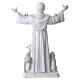 Statua San Francesco resina bianca 60 cm con animali s10