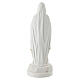Statua Madonna di Lourdes in resina con rosario dorato 20 cm s3