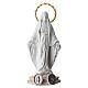 Miraculous Mary statue in white resin with medallion base, 10 cm s1