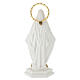 Statua Madonna Miracolosa in resina con aureola dorata 20 cm s4