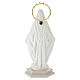 Madonna Miracolosa in resina bianca con aureola a stelle 20 cm s4