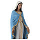 Miraculous Virgin Mary statue in painted fiberglass, 100 cm s8