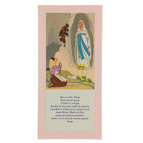Board of Our Lady of Lourdes with Hail Mary in Spanish, pink