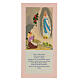 Board of Our Lady of Lourdes with Hail Mary in Spanish, pink s1
