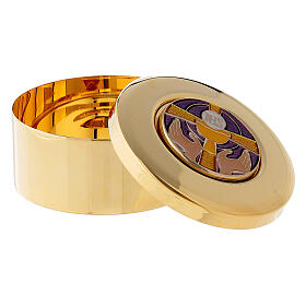 Valigietta per celebrazioni con amplificatore s7