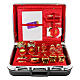 Mass kit with suitcase, lined with red jacquard fabric, with removable item-holding board s1