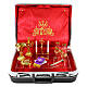 ABS travel mass kit bierfcase with red Jacquard lining 24-karat gilding s2