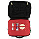 Mass kit computer bag, lined with red fabric s11