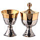 Mala com conjunto para celebração eucarística em material ABS e interior em cetim dourado s2
