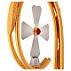 Pastoral episcopal cruz con piedra roja s8