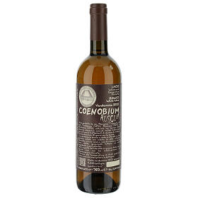 Weißwein, Coenobium Ruscum, Vitorchiano, 750 ml, Jahrgang 2022