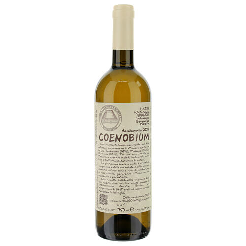 Wino Coenobium bianco Vitorchiano 750 ml 2022 1