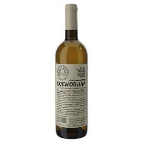 Vitorchiano Coenobium 2024 white wine 750ml