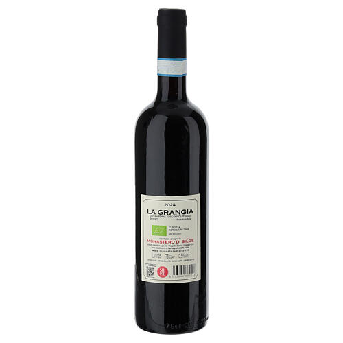 Vino "La Grangia" DOC 2024 Maremma Toscana Ciliegiolo rosso Siloe 2