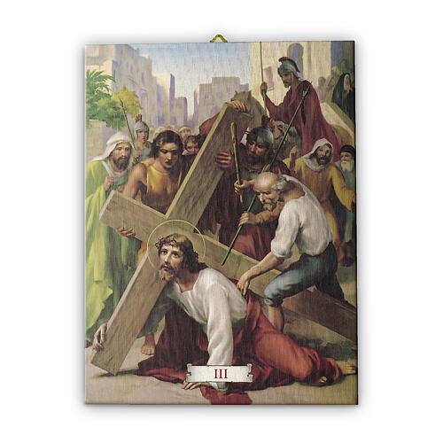 Way of the Cross in pictorial canvas 15 stations 20x25cm 4
