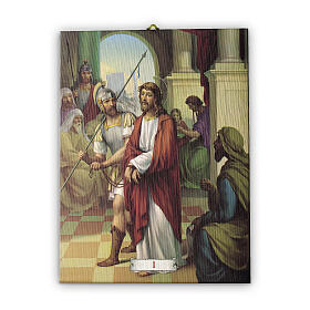 Via Crucis 15 stations in pictorial canvas 30X40 cm